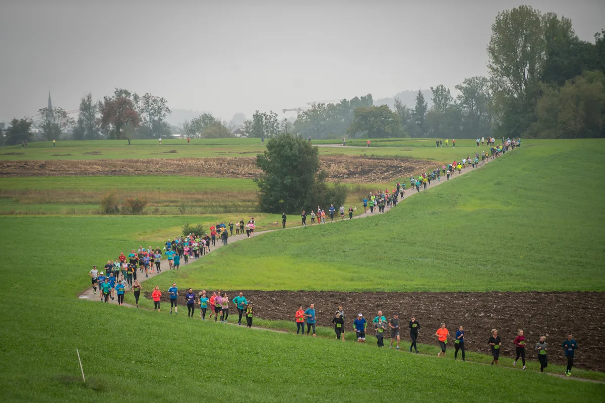 Pfäffikersee-Lauf.